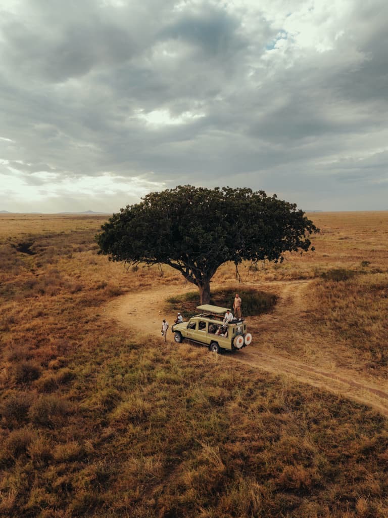 A safari vehicle parked beneath a lone acacia tree on the plains