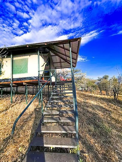 A tented room raised on stilts, reached by a wooden staircase