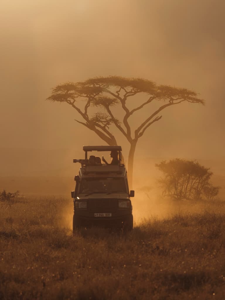 A safari vehicle driving through golden dust at sunset