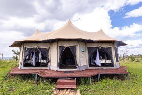 A luxury safari tent raised on a timber deck overlooking the bush