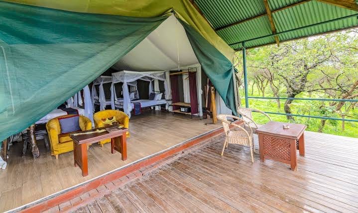 An open-sided tented lounge with armchairs looking out over the bush